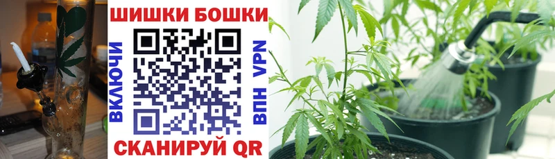 закладка  Туран  Канабис AK-47 